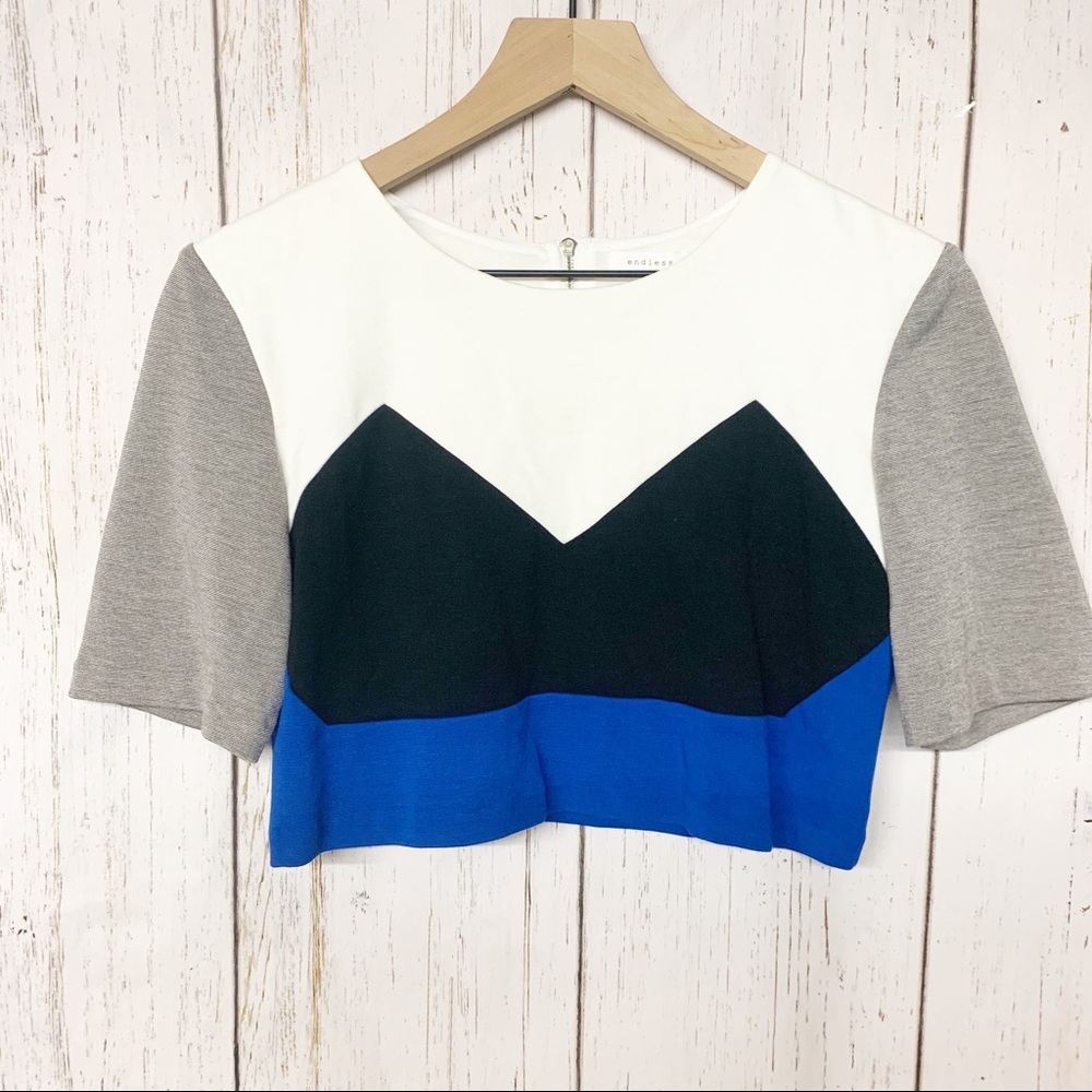Endless Rose color block short sleeved crop top M